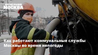 Как работают коммунальные службы Москвы во время непогоды - vm.ru - Москва - Москва