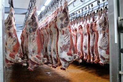 Казахстанские фермеры просят правительство снять мораторий на экспорт мяса. В Узбекистане за него платят больше, чем в Казахстане