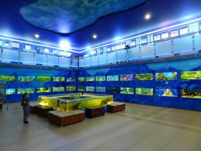 В Челябинске дом-аквариум наказали за работу без лицензии