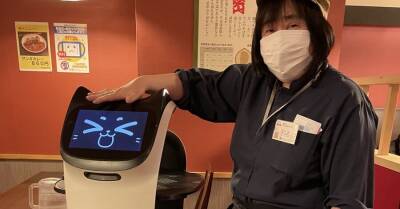 В Японии посетителей ресторана обслуживает кот-робот - kp.ua - Украина - Япония - Ирак - Мосул