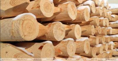 PM: If necessary, Belarus will stop timber supplies to Lithuania - udf.by - Belarus - Eu