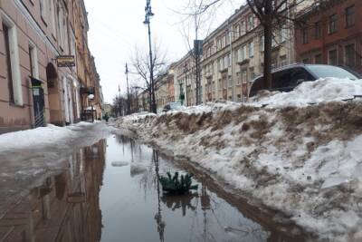 «Идти невозможно»: актер Чардымский о затопленных петербургских тротуарах
