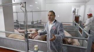 Депутат Госдумы Ильтяков готов устроить беженцев из Донбасса на свой свинокомплекс