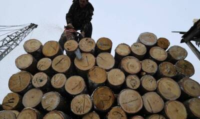 Белоруссия пригрозила Литве древесиной