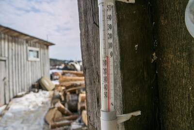 В Курганской области ожидает резкое потепление: с -18 до +2 градусов