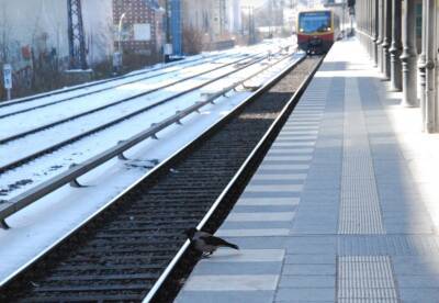 Расписание пригородных поездов в Нижегородской области изменится 23 февраля