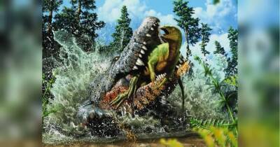 Вчені знайшли крокодила віком 93 мільйони років з дитинчам динозавра в животі