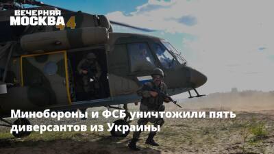 Минобороны и ФСБ уничтожили пять диверсантов из Украины