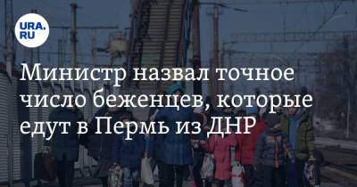Министр назвал точное число беженцев, которые едут в Пермь из ДНР