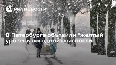 В Петербурге объявили "желтый" уровень погодной опасности из-за ожидаемого снега