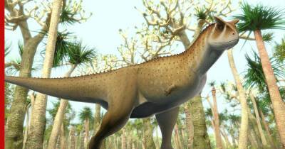 Череп "безрукого" динозавра с крохотным мозгом нашли в Аргентине