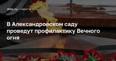 В Александровском саду проведут профилактику Вечного огня
