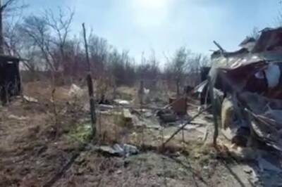 «Халабуда в лесополосе»: что на самом деле уничтожил украинский снаряд