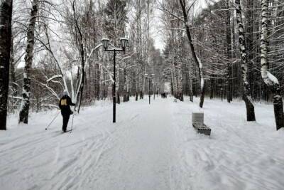 В начале марта в европейскую Россию ненадолго вернутся морозы