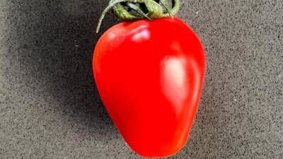 Новые овощи в Израиле: помидоры-сердечки, мини-перчики для фаршировки и другие