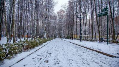 Московские парки рассказали об онлайн-активностях