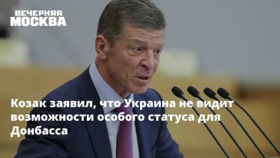 Козак заявил, что Украина не видит возможности особого статуса для Донбасса