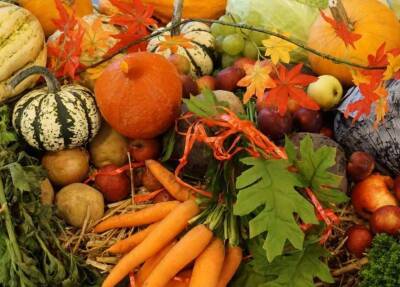 Доктор Ци Фэн опроверг миф о способности овощей защищать от сердечных заболеваний