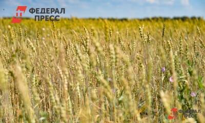 Наследие с подоплекой: как агрокомплекс экс-министра Ткачева получил дорогую землю
