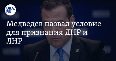 Медведев назвал условие для признания ДНР и ЛНР