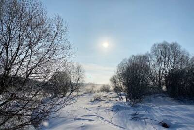 22 февраля в Рязанской области ожидается сильный ветер и до +5 градусов