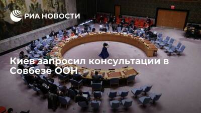 Киев запросил консультации в СБ ООН по безопасности в рамках Будапештского меморандума