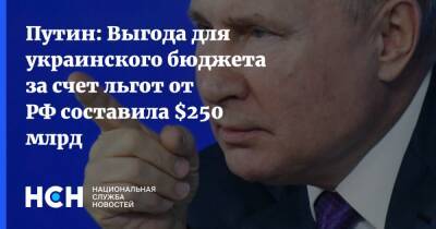 Путин: Выгода для украинского бюджета за счет льгот от РФ составила $250 млрд