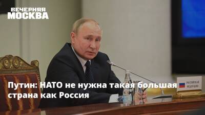 Путин: НАТО не нужна такая большая страна как Россия