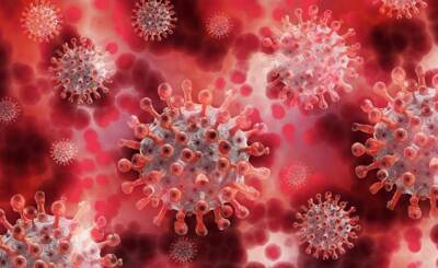 Последствия коронавируса для репродуктивной функции мужчин и женщин перечислили врачи
