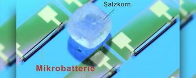 Батарейка размером с крупицу соли появилась в Германии
