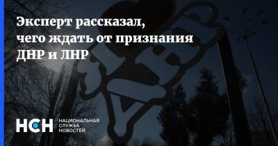 Виктор Литовкин - Эксперт рассказал, чего ждать от признания ДНР и ЛНР - nsn.fm - Украина - ДНР - ЛНР