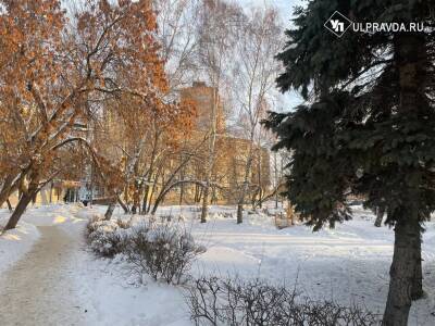 В Ульяновской области ожидаются мокрый снег с дождем и гололедица