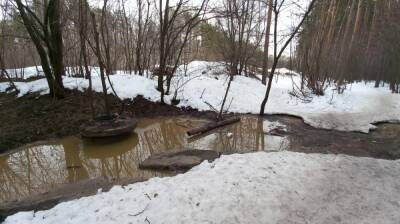 Воронежский Северный лес затопило канализационными стоками