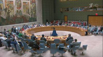 Совет Безопасности ООН обсуждает обстановку вокруг Украины
