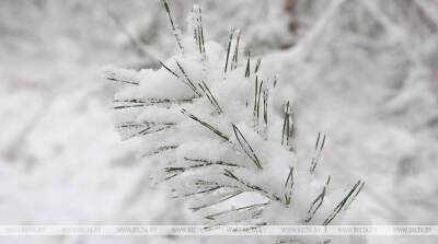 Мощные снегопады парализовали транспорт на севере Японии - belta.by - Белоруссия - Япония - Минск - Саппоро