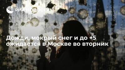 Синоптик Леус: в Москве во вторник ожидается дождь, мокрый снег и до плюс пяти градусов