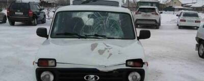 В Омской области водитель автомобиля «Нива» насмерть сбил 24-летнюю девушку