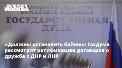 «Должны остановить бойню»: Госдума рассмотрит ратификацию договоров о дружбе с ДНР и ЛНР