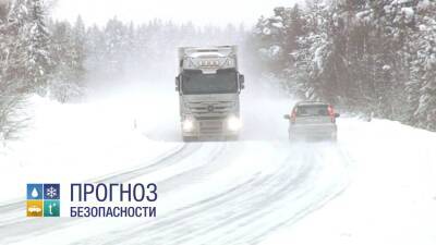 Погода в Рязанской области 22 февраля