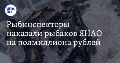 Рыбинспекторы наказали рыбаков ЯНАО на полмиллиона рублей