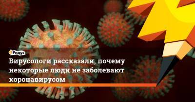 Вирусологи рассказали, почему некоторые люди незаболевают коронавирусом