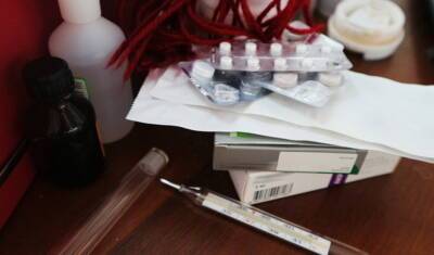 В Тюменской области за неделю резко снизилась заболеваемость гриппом и ОРВИ