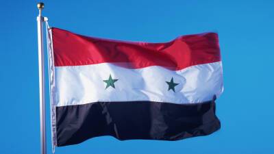 Сирия выразила солидарность с признанными Россией ДНР и ЛНР