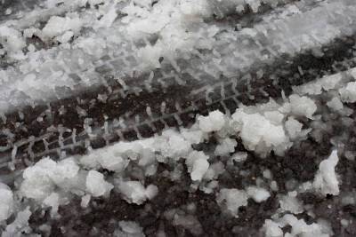 Мокрый снег с дождем ожидается в Новгородской области во вторник