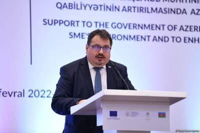Делегация ЕС в Азербайджане окажет финансовую помощь местному бизнесу - Петер Михалко