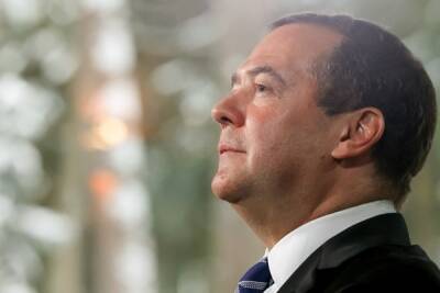 Политолог пояснил смысл фразы Медведева «будет трудно» по поводу санкций Запада из-за Донбасса