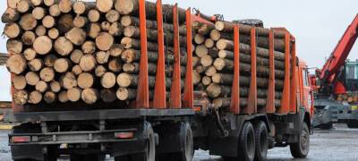 Украина стала одним из импортеров лесоматериалов из Карелии в январе 2022 года