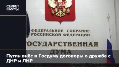 Путин внёс в Госдуму договоры о дружбе с ДНР и ЛНР
