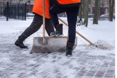 Сайт с данными об уборке снега запустили в Петербурге под конец зимы