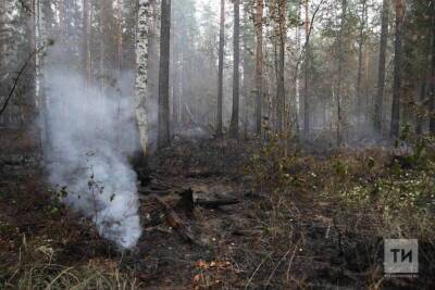 В Татарстане объявлено о начале пожароопасного сезона с 15 апреля